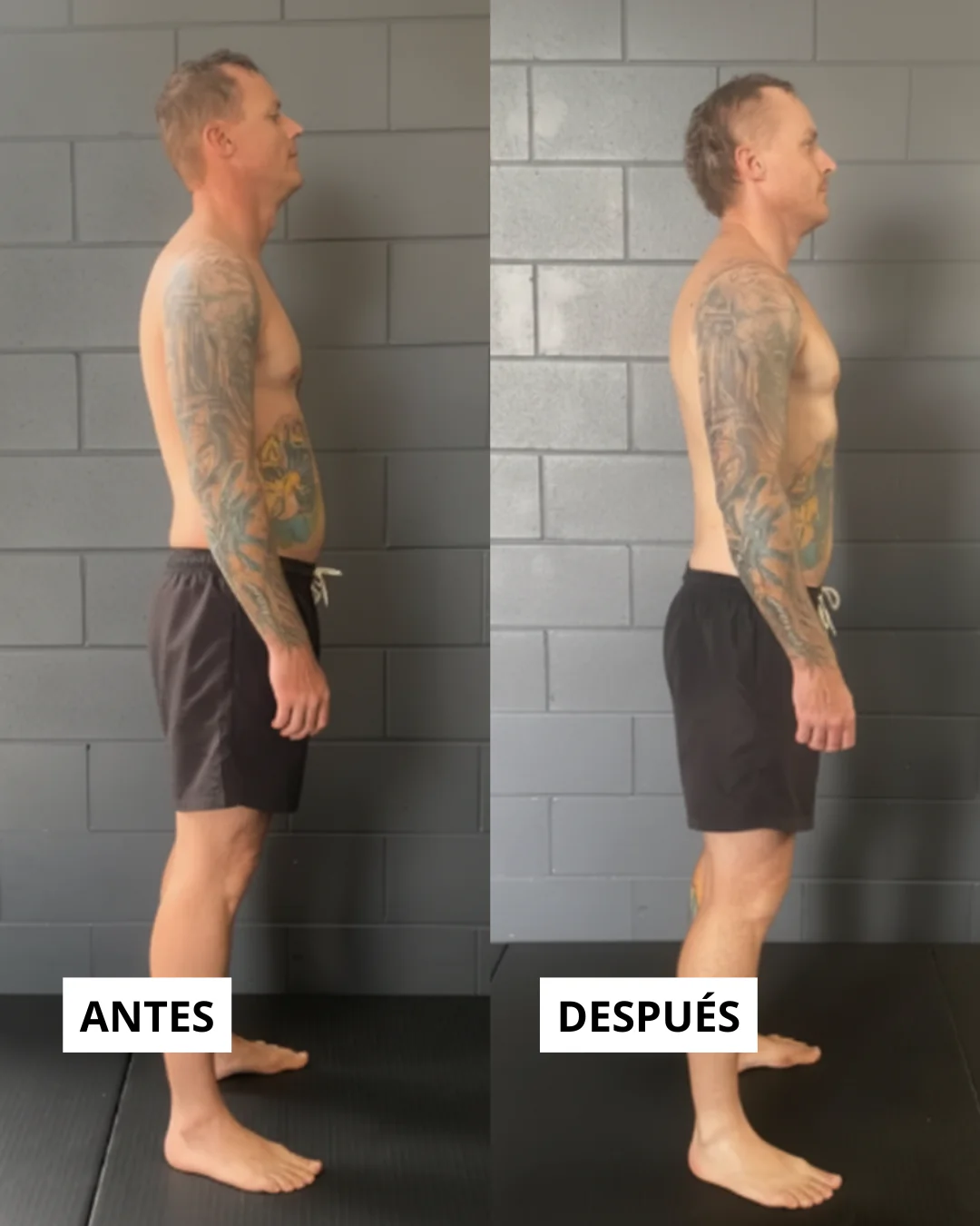 FlexiStretch Pro™ - Banda de estiramiento + Guía de estiramientos GRATIS